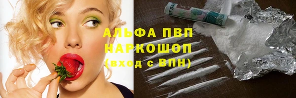 спиды Верея