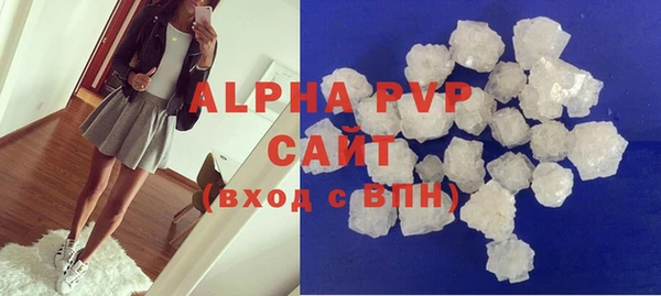 стаф Богданович