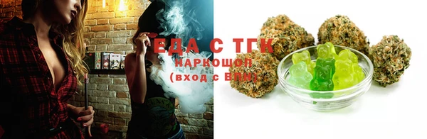 стаф Богданович