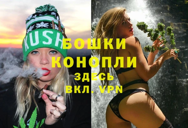 2c-b Богородицк