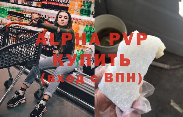 стаф Богданович