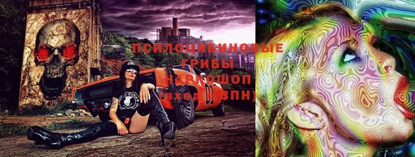 ПСИЛОЦИБИНОВЫЕ ГРИБЫ Богородск