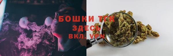 2c-b Богородицк
