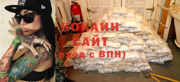 стаф Богданович