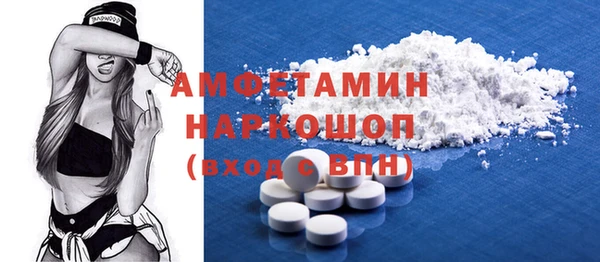 стаф Богданович