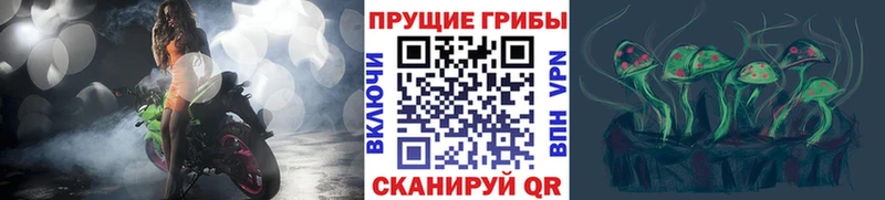 Галлюциногенные грибы Cubensis  Купить закладки  Заринск 